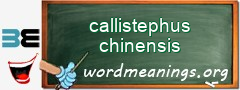WordMeaning blackboard for callistephus chinensis